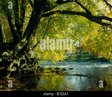 Derwent River in der Nähe von Hathersage Derbyshire UK Stockfoto