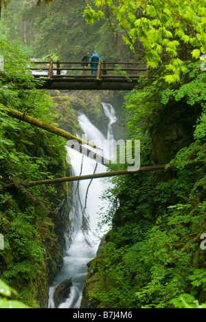 Wasserfall stürzt in die Schlucht unterhalb einer Fuß-Brücke, Altwachstum Rainforest, Sol Duc Fluss, Olympic Nationalpark, Washington, USA Stockfoto