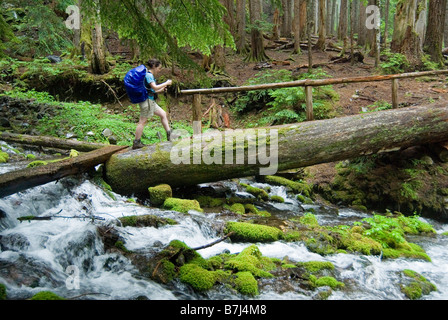 Frau (20-25) überquert einen Log-Steg einen Fluss beim Wandern, Sol Duc River, Olympic Nationalpark, Washington, USA Stockfoto