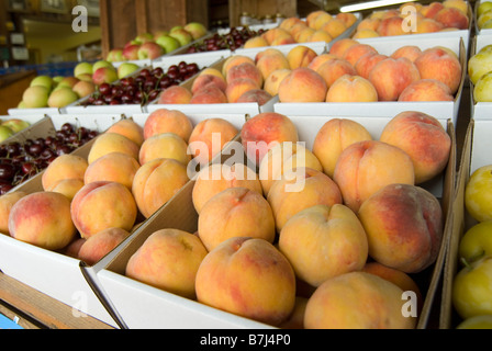 Fresh fruit at a roadside fruit stand, Keremeos, BC, Canada Stockfoto