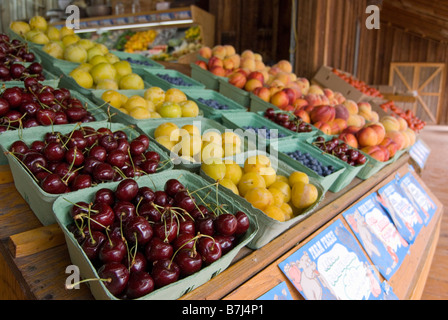 Frisches Obst am Straßenrand Obst stehen, Keremeos, BC, Kanada Stockfoto