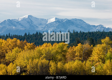 Herbst-Farbe mit schneebedeckten Bergen im Hintergrund, Clinton, BC, Kanada Stockfoto