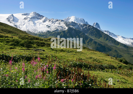 Blick auf Les Drus und La Verte, Col de Balme, Chamonix, Frankreich Stockfoto