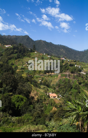 dh PORTO DA CRUZ Viertels MADEIRA House on Hang Bergkette und Terrasse Felder Landschaft Stockfoto