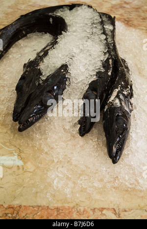 dh Schwarze Scheide Espada FISCH MADEIRA Fisch auf dem Eismarkt Stall fangen tiefen Ozean Stockfoto