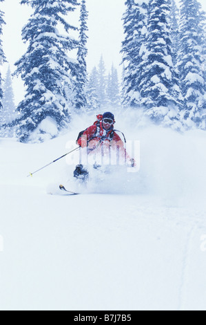 Junger Mann Ski Frischpulver während Schneesturm am Rogers Pass, British Columbia, Kanada. Stockfoto