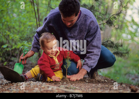 Papa hilft Sohn, 2, Pflanze Baum Sämling, Whistler, BC Stockfoto