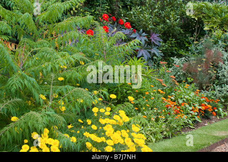 Green Templeton College Garden Oxford Stockfoto