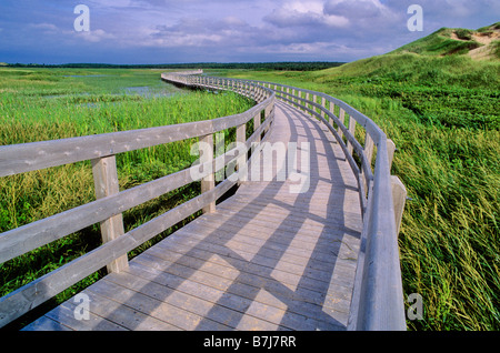 Holzbrücke schützt Feuchtgebiete in Prince Edward Island National PK. Stockfoto