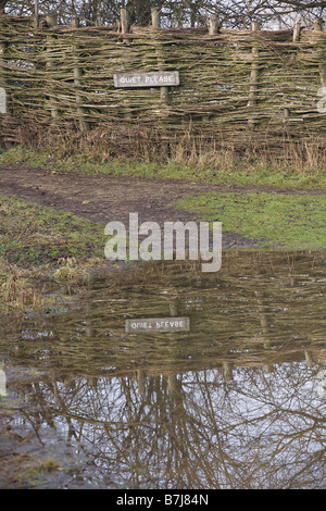 "Quiet Please"-Schild vor dem überschwemmten Vogelbeobachtungs-Versteck in Pulborough Brooks, RSPB Nature Reserve, West Sussex, Großbritannien Stockfoto