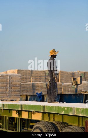 Import von Baumaterialien, Handwerker Paletten Entladen der iranischen Zement, per Schiff am Kai von Al Sharjah, Dubai, UAE geliefert Stockfoto