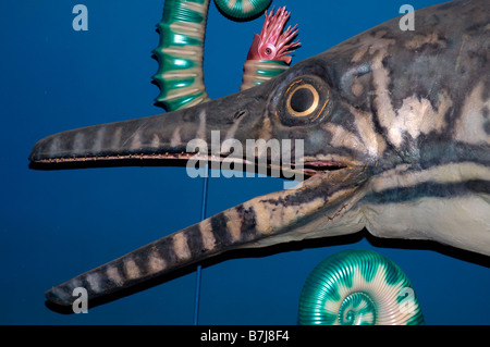 Ophthalmosaurus auf Dinosaur Isle, Sandown, Insel Wight, England, Großbritannien, GB. Stockfoto