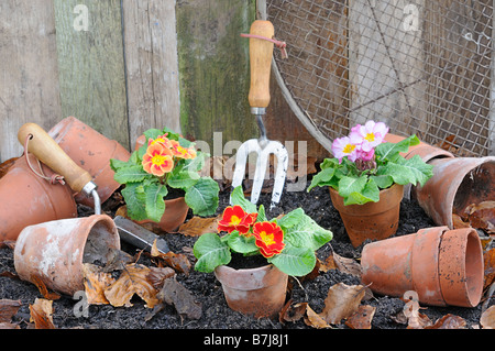 Rustikale Frühling Garten Szene mit Primeln Terrakotta Blumentöpfe und Gartenwerkzeuge Stockfoto