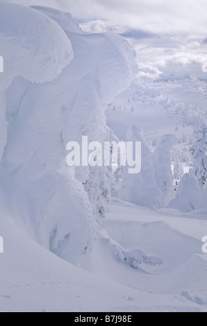 Schnee-Riesen sind Bäume in Raureif, Skigebiet Mt. Washington, Vancouver Island Stockfoto