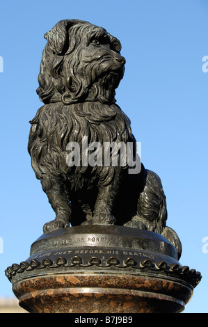 graue Brüder Bobby Statue in Edinburgh Stockfoto