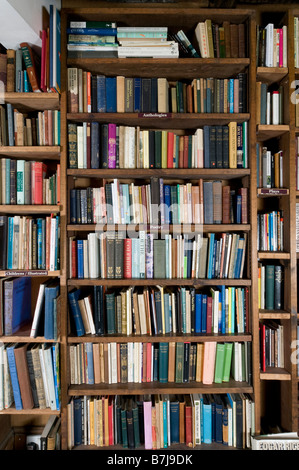 Bücher auf Regal im Buchladen Stockfoto