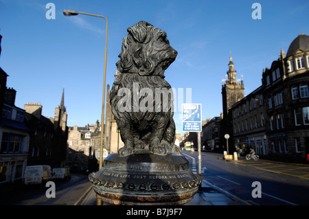 graue Brüder Bobby Statue in Edinburgh Stockfoto