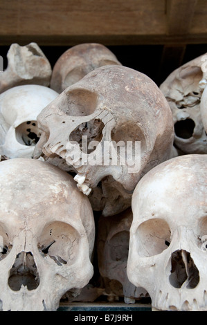 Schädel von Opfern auf dem Display an Choeung Ek (The Killing Fields) in Phnom Penh, Kambodscha Stockfoto