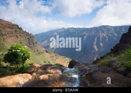 Blick von der Spitze des Waipo'o fällt in Waimea Canyon Waimea Canyon State Park Kaua ' i Hawaii USA Stockfoto