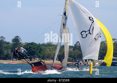 18 ft-Skiff-Rennen in Sydney harbour, Australien Stockfoto