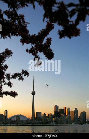 Rogers Centre, CN Tower & Innenstadt, Toronto, Ontario, Kanada Stockfoto