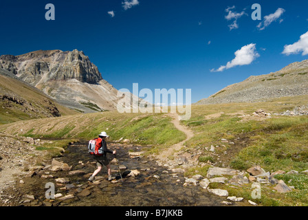 Eine Frau (20-25) überquert einen kleine alpine Bach, der durch eine Wiese.; Kanada, Alberta, Jasper Nationalpark, Skyline Trail Stockfoto