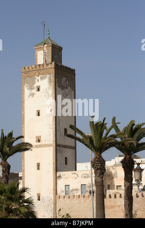 ein Turm der Moschee unter Palmen in der alten Medina von essaouira Stockfoto