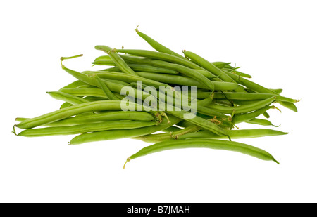 Frische Bohnen isoliert auf weißem Hintergrund Stockfoto