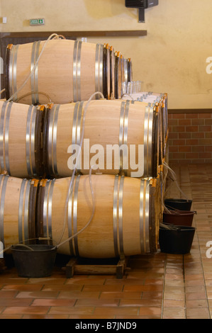 Fässer mit gärenden Wein mit Röhren sammeln Überlauf Château Guiraud Sauternes Bordeaux Frankreich Stockfoto