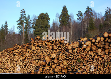 Stützpfeiler in Schweden Stockfoto