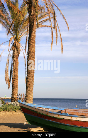 Boot und Palmen am Strand in Benalmadena Costa Del Sol Andalusien Malaga Spanien Stockfoto