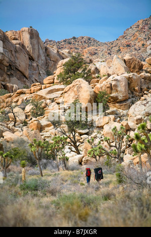 Kletterer Wandern an Position im Joshua Tree National Park Stockfoto