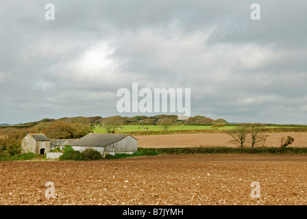 Acker Ackerland in der Nähe von Helston in Cornwall, Großbritannien Stockfoto