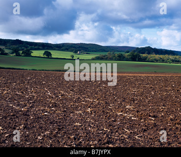 Die Quantock Hills im Herbst von Nether Stowey, Somerset, England aus gesehen. Stockfoto