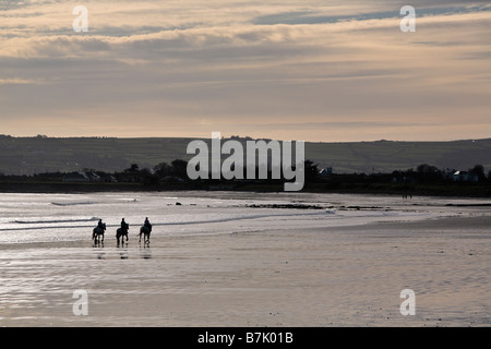 Pferde am Strand Stockfoto