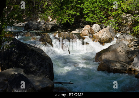 Whitewater Creek im Yosemite National Forest, Kalifornien Stockfoto