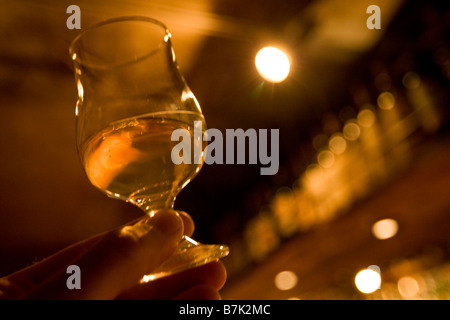 Whisky tasting Glas Stockfoto