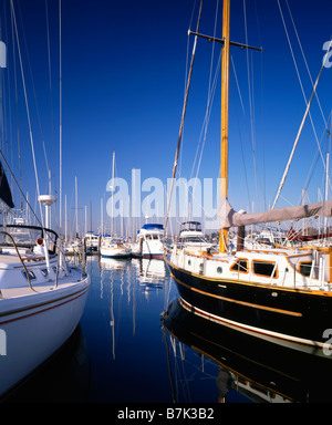 2 Segelboote Schwarzer Rumpf und weißen Rumpf Closeup am Yachthafen Dock mit anderen Booten in Ferne Stockfoto