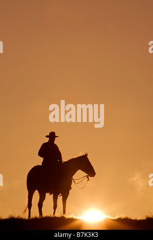 Cowboy reitet Viertel Pferd bei Sonnenaufgang auf einer Ranch mit orangefarbenem Himmel am frühen Morgen Stockfoto