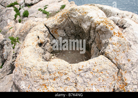 Eine fossile Felsformation an der Jurassic Coast in Dorset Stockfoto