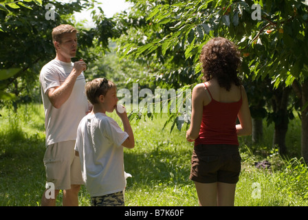 Familie im Kirschgarten, Okanagan Centre, BC Kanada Stockfoto