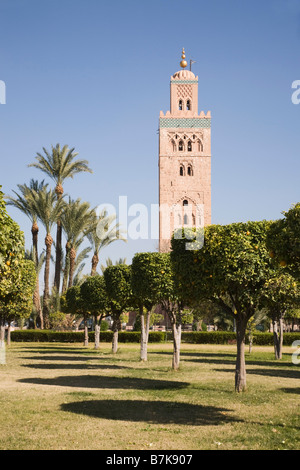 Marrakesch Marokko Nordafrika Ansicht der Koutoubia-Moschee Minarett durch Baumreihe im Orangenhain Gärten Stockfoto