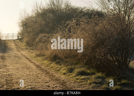 Winter-Nord-Hinksey-Pfad Stockfoto