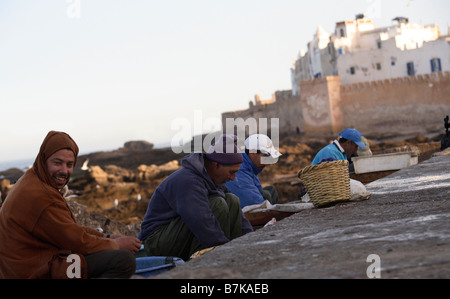 Lokale Fischer sortieren Fisch auf der Hafenpromenade in Essaouira Marokko Stockfoto