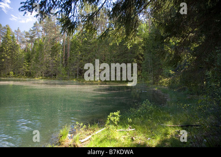 Äntu Great Lake, Lääne-Viru County, Estland, Europa Stockfoto