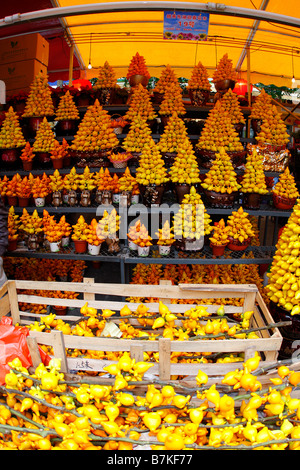 Goldene Früchte auf Dicplay in Guangzhou Blumenmarkt für das chinesische Neujahr Stockfoto