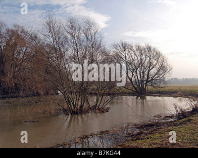 Fluss Great Ouse in Flut in Huntingdon, Cambridge, England Stockfoto