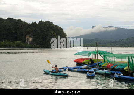 AO Nalene Mangroven in Thailand Stockfoto