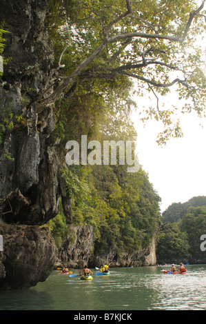 Kajakfahren in Ao Nalene Mangroven in Thailand Stockfoto