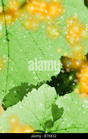 Schöner Hintergrund Nahaufnahme Foto leaves Stockfoto